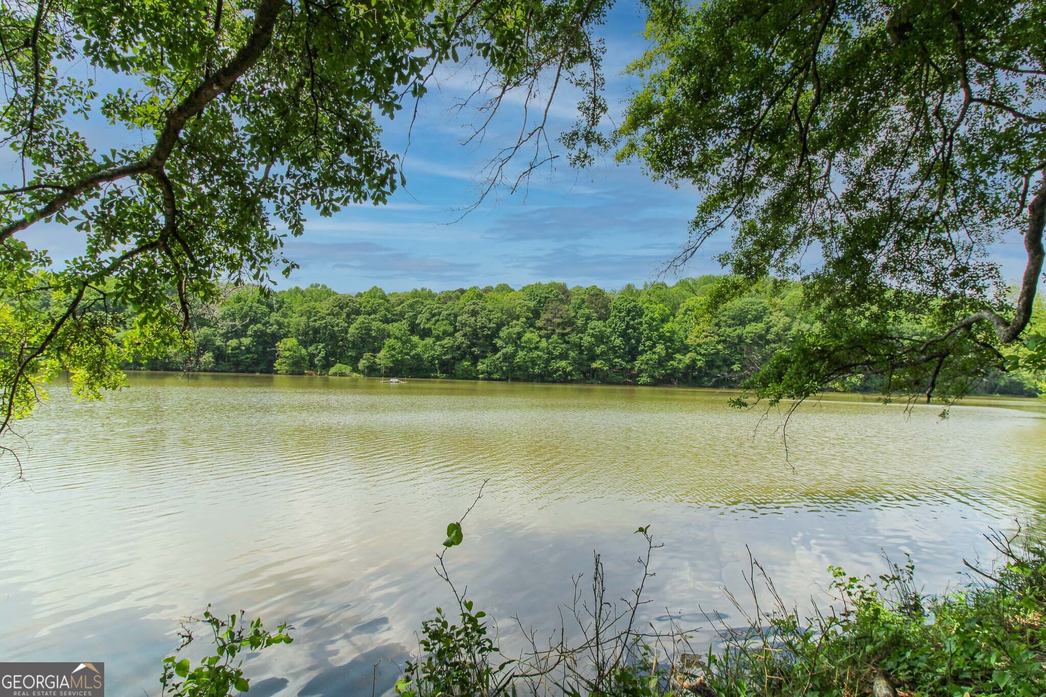 0 McCarty Road Statham, GA 30666 - Photo 6 of 18