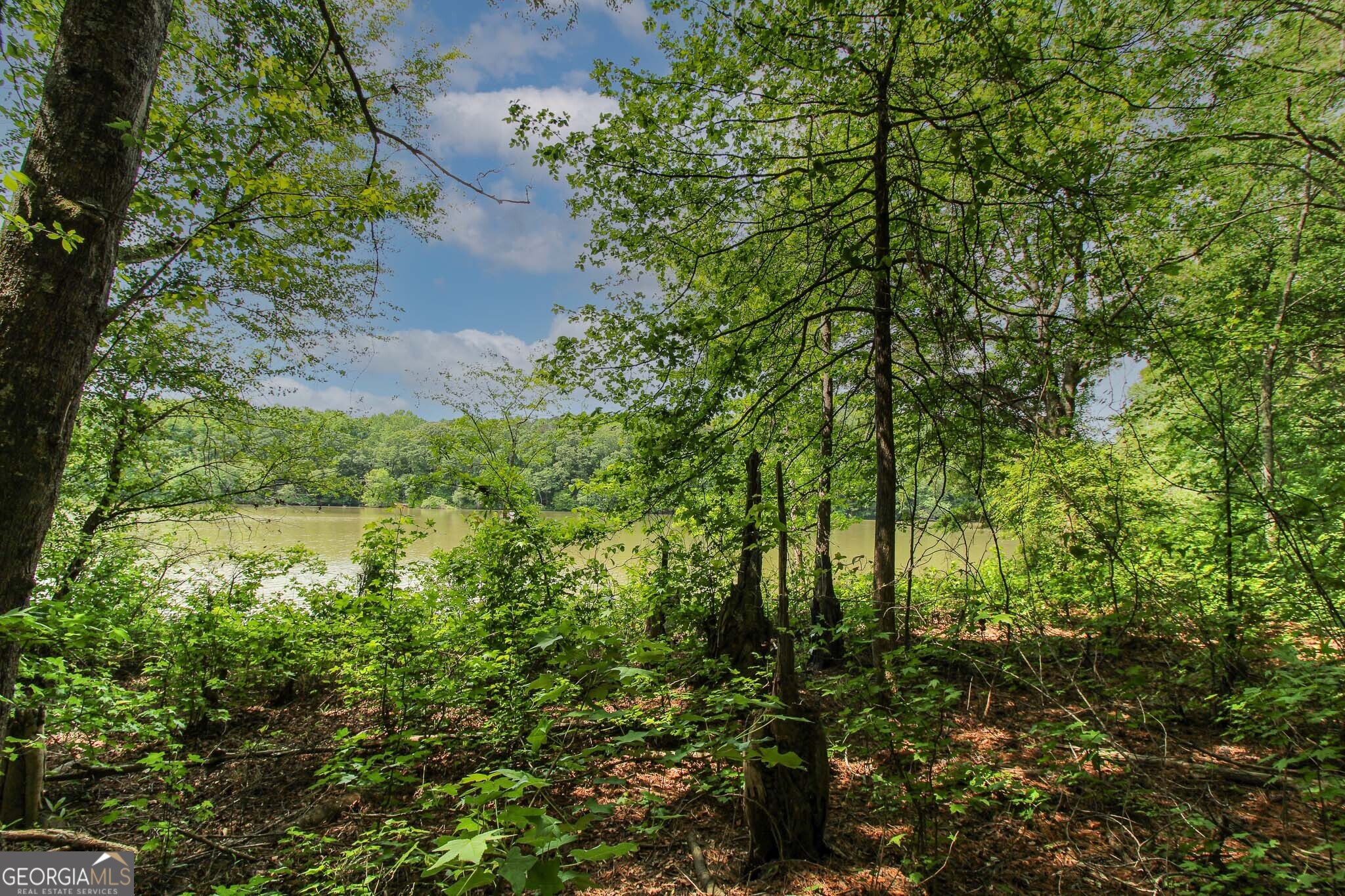 0 McCarty Road Statham, GA 30666 - Photo 8 of 18