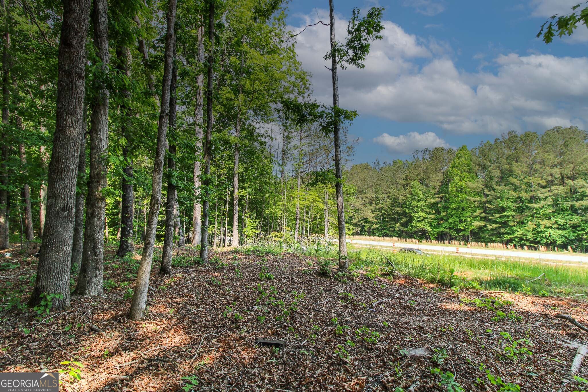 0 McCarty Road Statham, GA 30666 - Photo 9 of 18