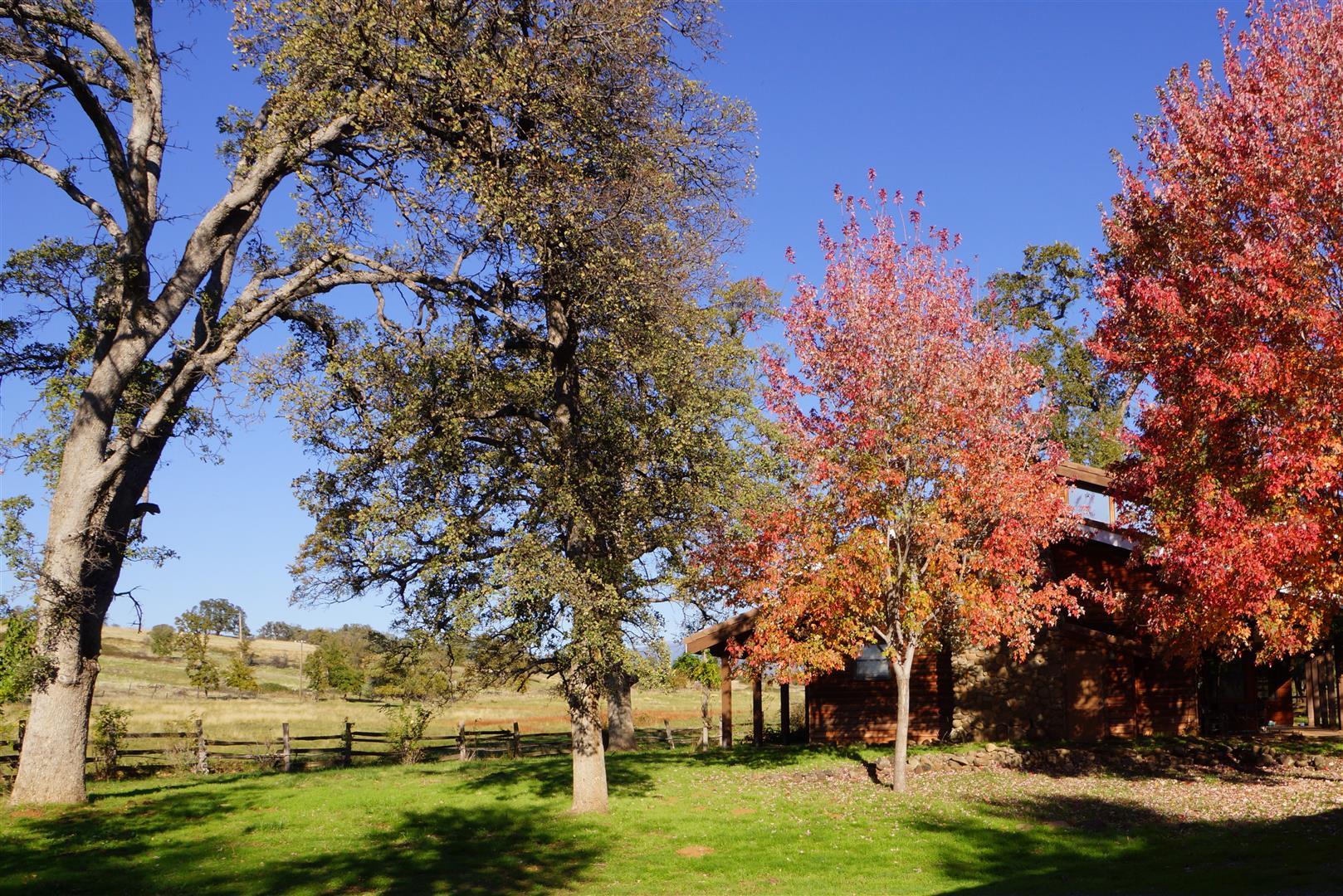 28187 Williams Ranch Road Millville, CA 96062 - Photo 12 of 82 Main Home (13)