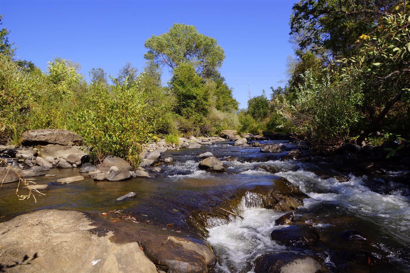 28187 Williams Ranch Road Millville, CA 96062 - Photo 22 of 82 Creek (2)