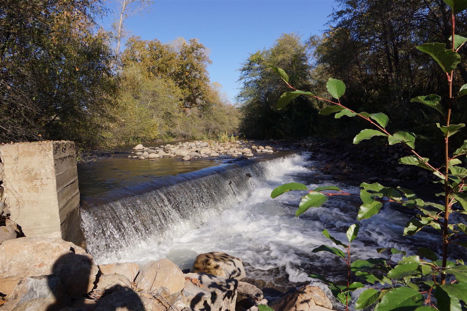 28187 Williams Ranch Road Millville, CA 96062 - Photo 25 of 82 Creek (12)