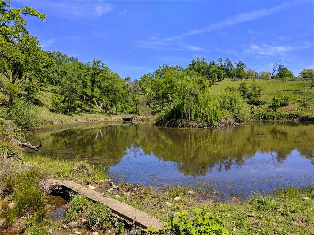 28187 Williams Ranch Road Millville, CA 96062 - Photo 27 of 82 East Pond (2)