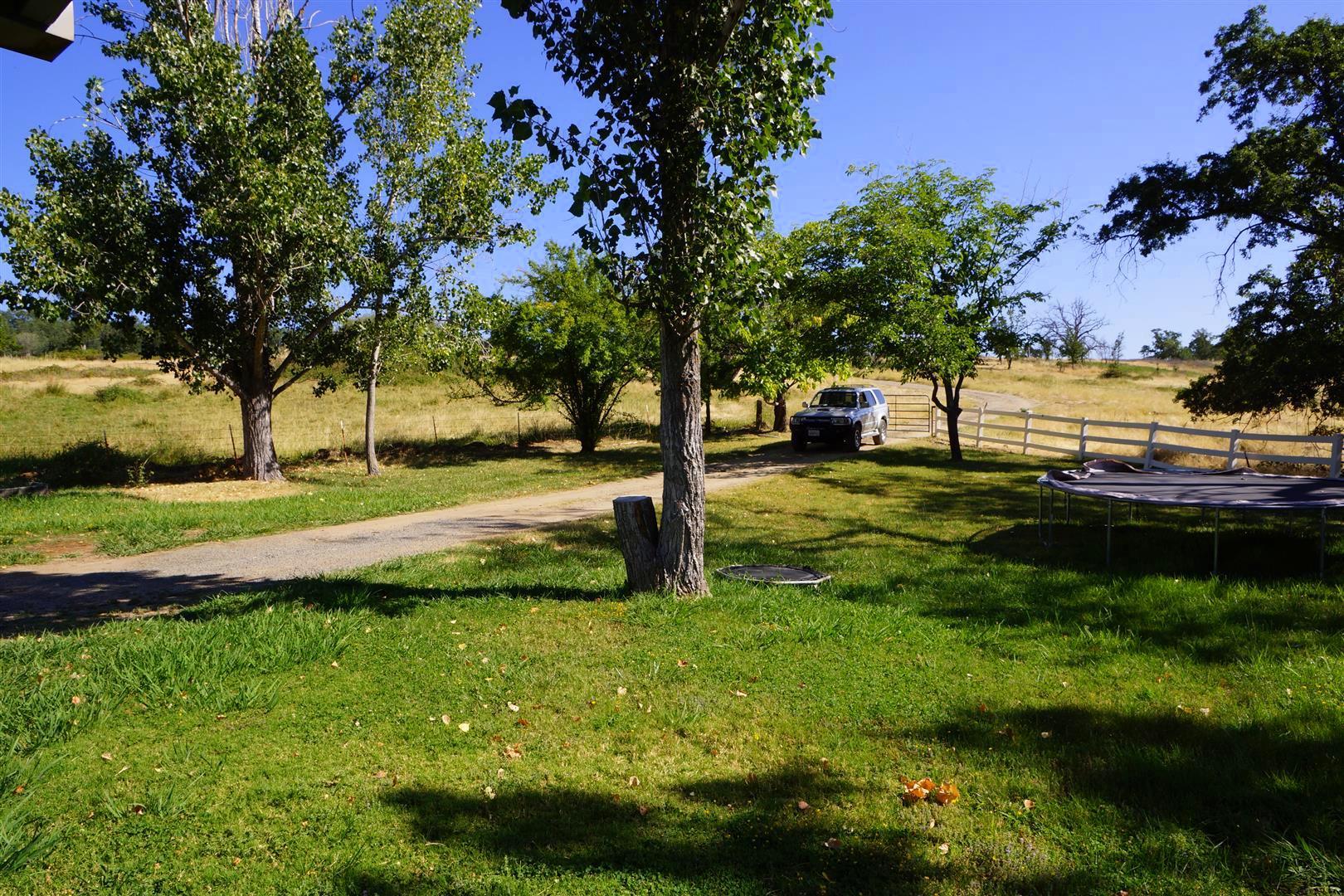 28187 Williams Ranch Road Millville, CA 96062 - Photo 29 of 82 Guest Hm Yard (2)