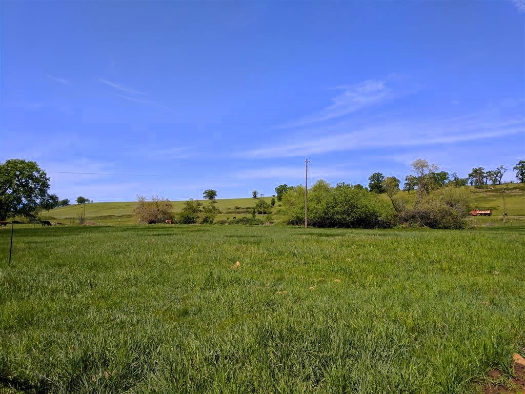 28187 Williams Ranch Road Millville, CA 96062 - Photo 41 of 82 Lower Irrigated Pastures (2)