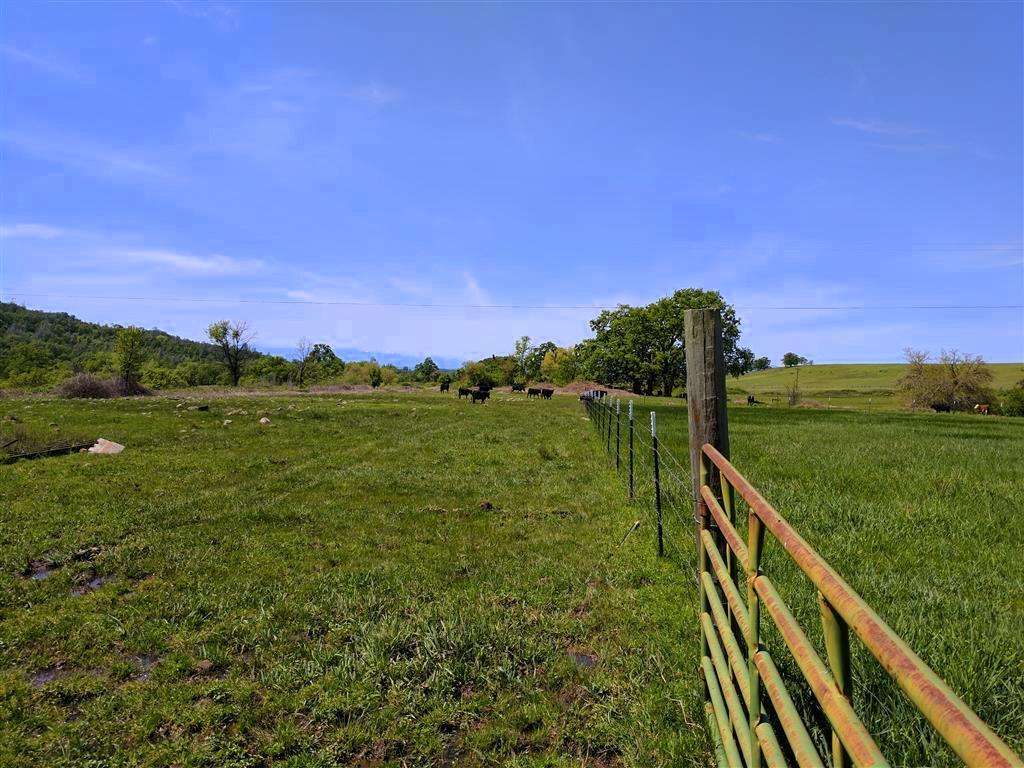 28187 Williams Ranch Road Millville, CA 96062 - Photo 42 of 82 Lower Irrigated Pastures (3)