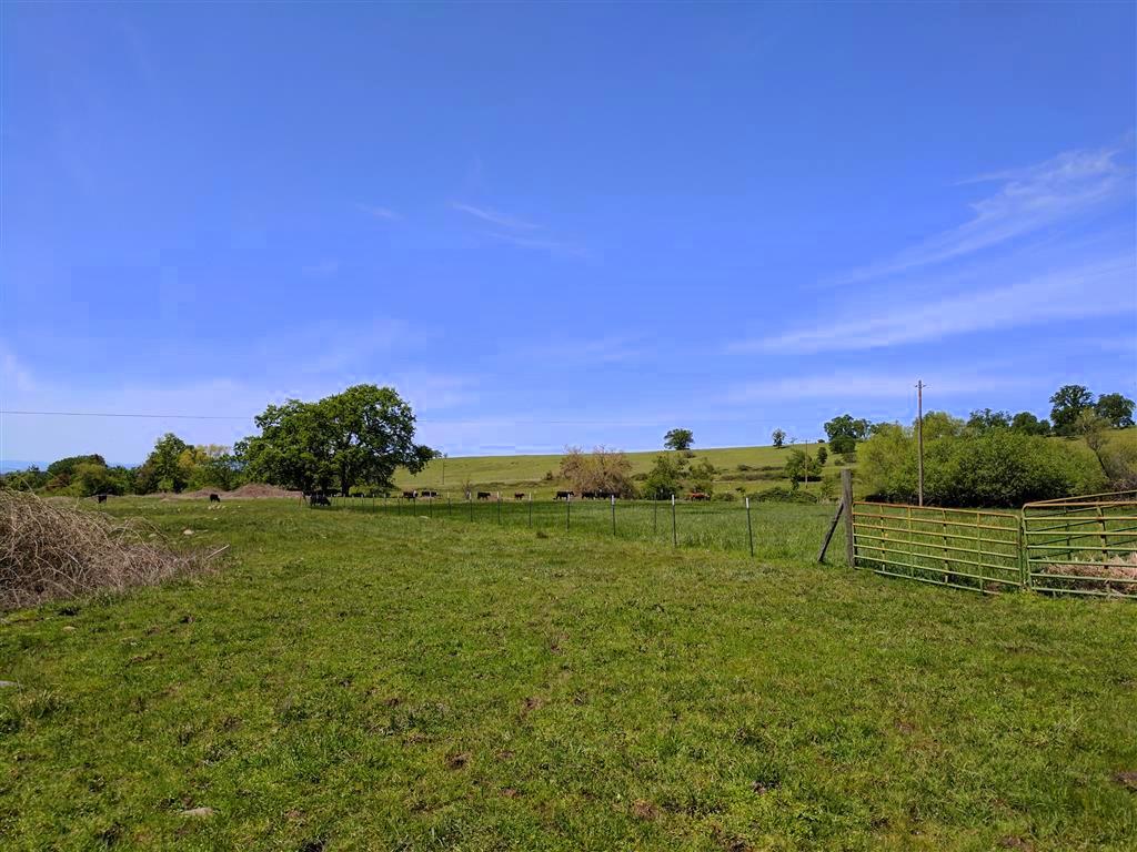 28187 Williams Ranch Road Millville, CA 96062 - Photo 43 of 82 Lower Irrigated Pastures (4)