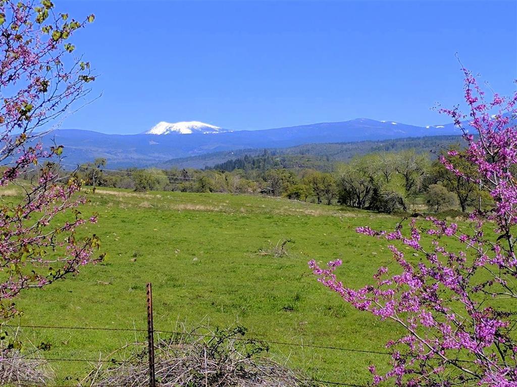 28187 Williams Ranch Road Millville, CA 96062 - Photo 44 of 82 Lower Pastures (2)