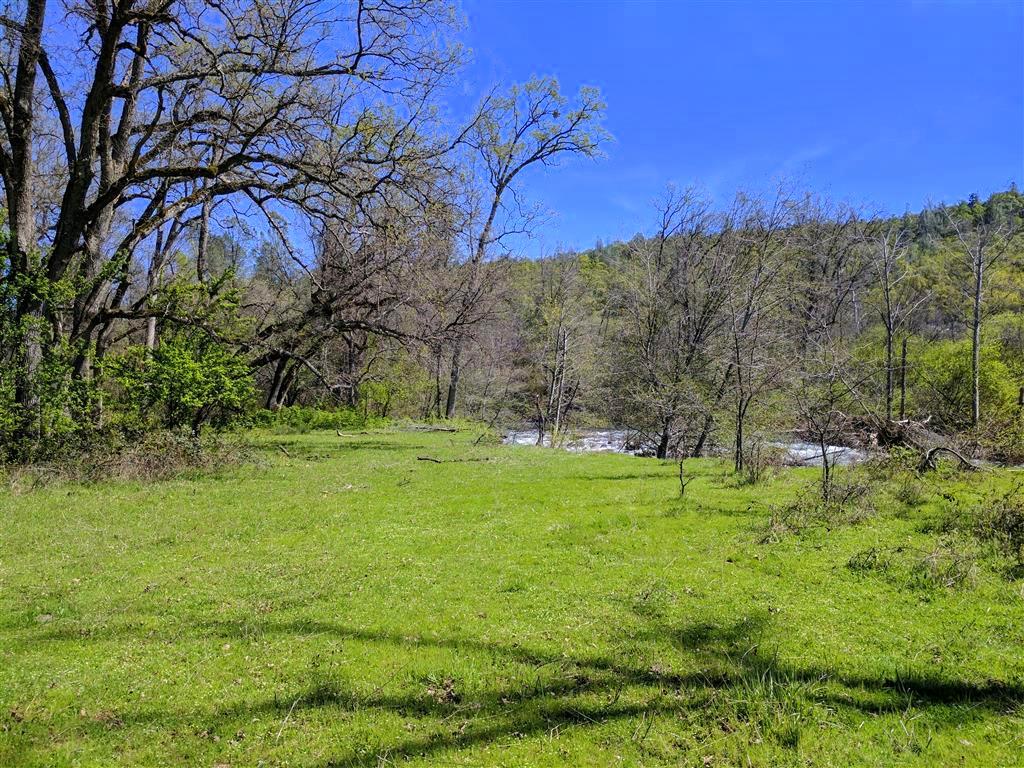 28187 Williams Ranch Road Millville, CA 96062 - Photo 47 of 82 Riparian Habitat