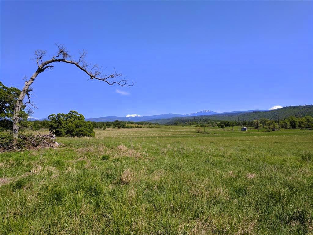 28187 Williams Ranch Road Millville, CA 96062 - Photo 49 of 82 Upper Pastures (1)