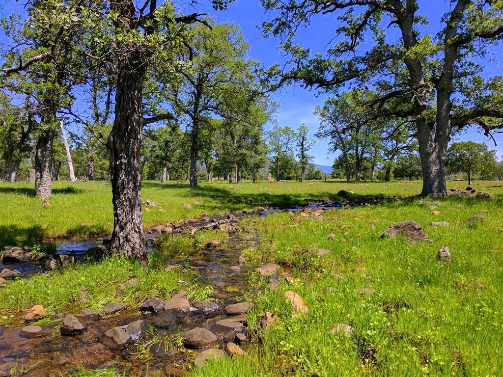 28187 Williams Ranch Road Millville, CA 96062 - Photo 51 of 82 Upper Pastures (3)