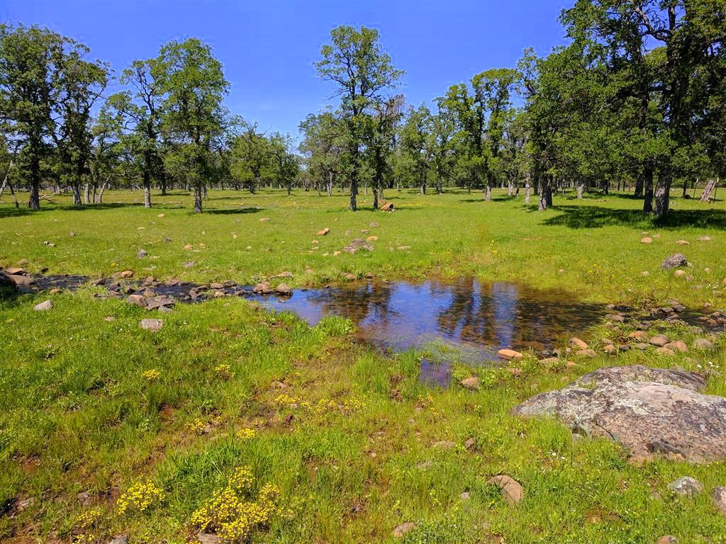 28187 Williams Ranch Road Millville, CA 96062 - Photo 53 of 82 Upper Pastures (5)