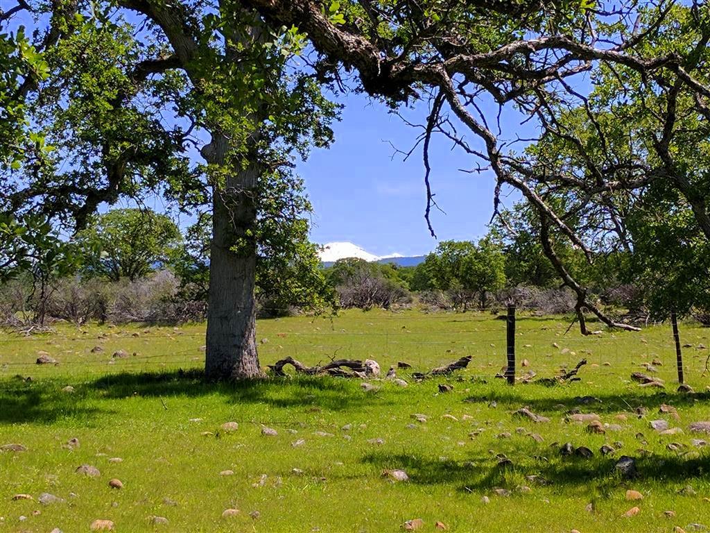 28187 Williams Ranch Road Millville, CA 96062 - Photo 54 of 82 Upper Pastures (6)