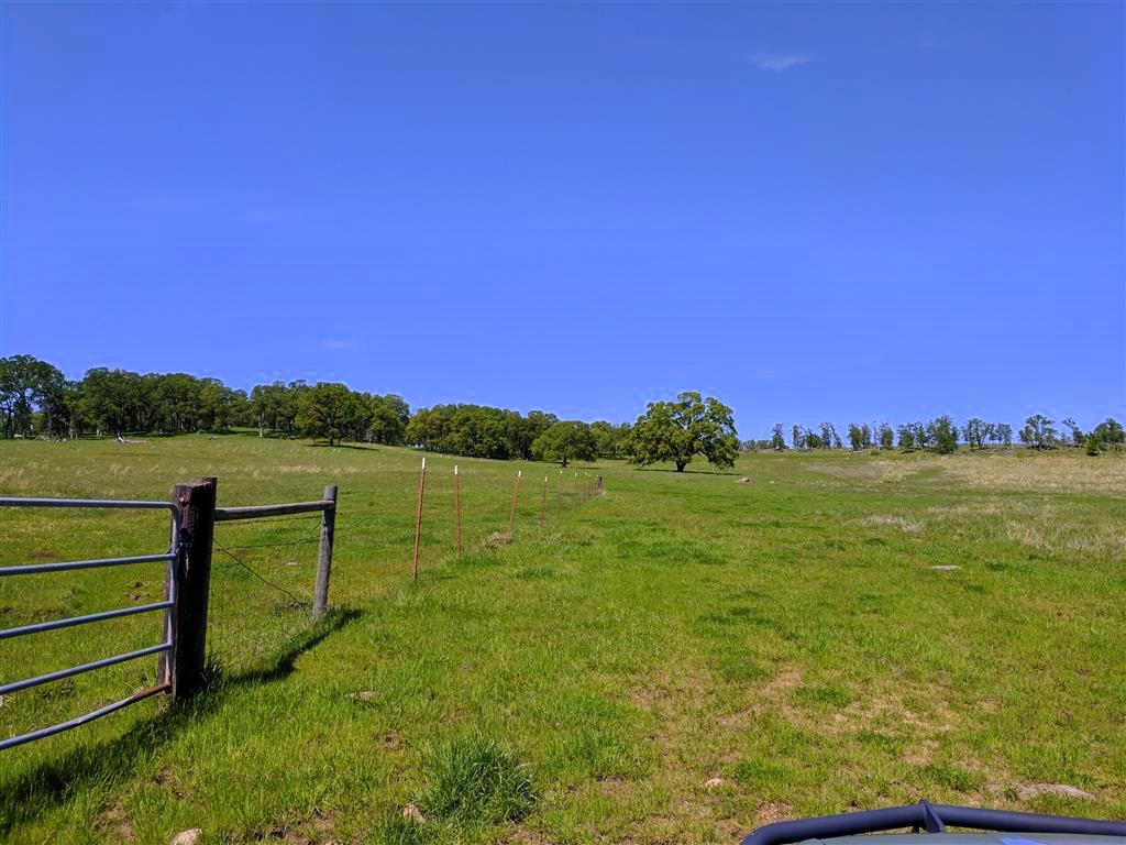 28187 Williams Ranch Road Millville, CA 96062 - Photo 55 of 82 Upper Pastures (7)