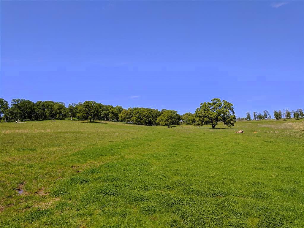 28187 Williams Ranch Road Millville, CA 96062 - Photo 56 of 82 Upper Pastures (8)