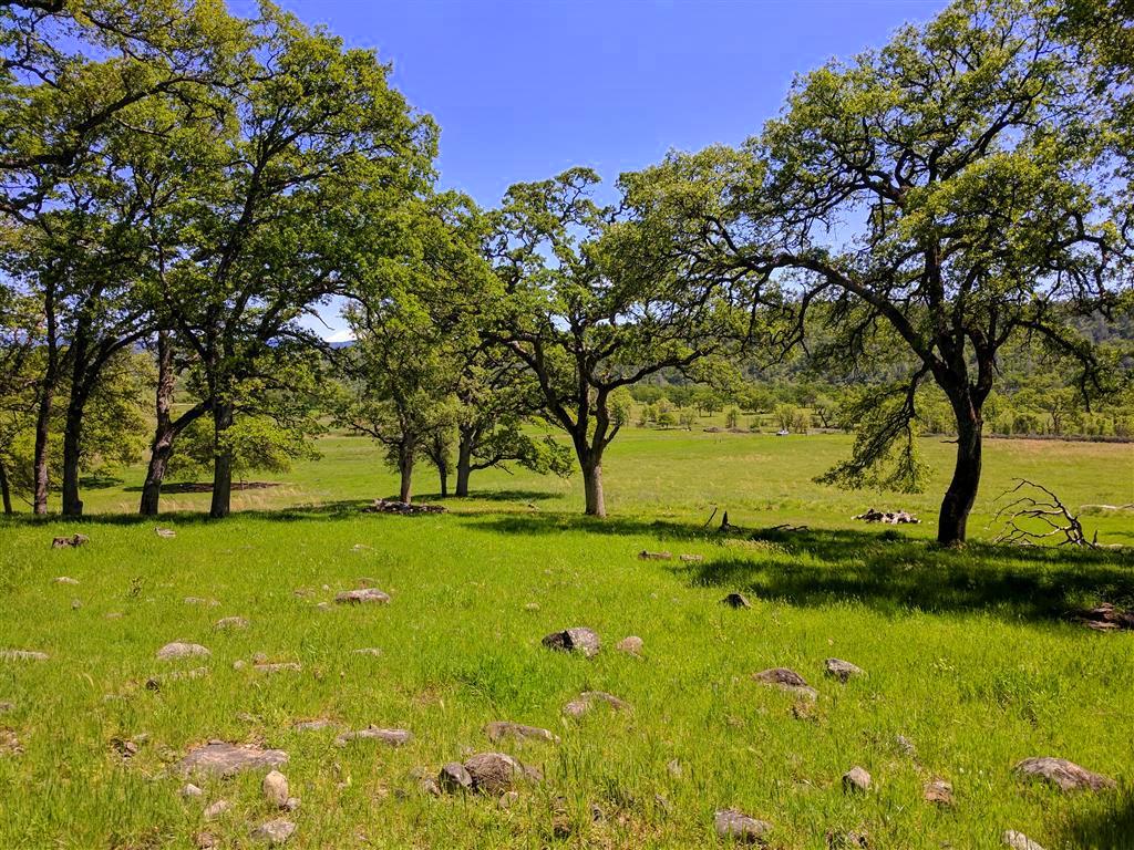 28187 Williams Ranch Road Millville, CA 96062 - Photo 59 of 82 Upper Pastures (11)
