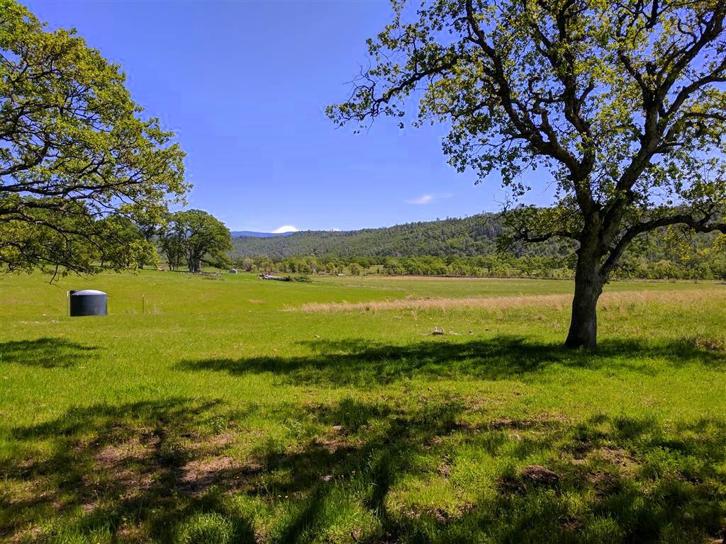 28187 Williams Ranch Road Millville, CA 96062 - Photo 60 of 82 Upper Pastures (12)