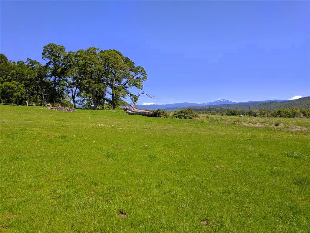 Upper Pastures (14)