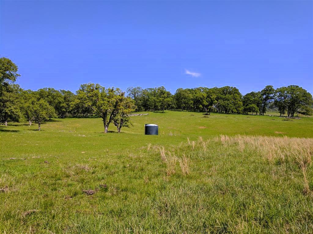 28187 Williams Ranch Road Millville, CA 96062 - Photo 61 of 82 Upper Pastures (13)