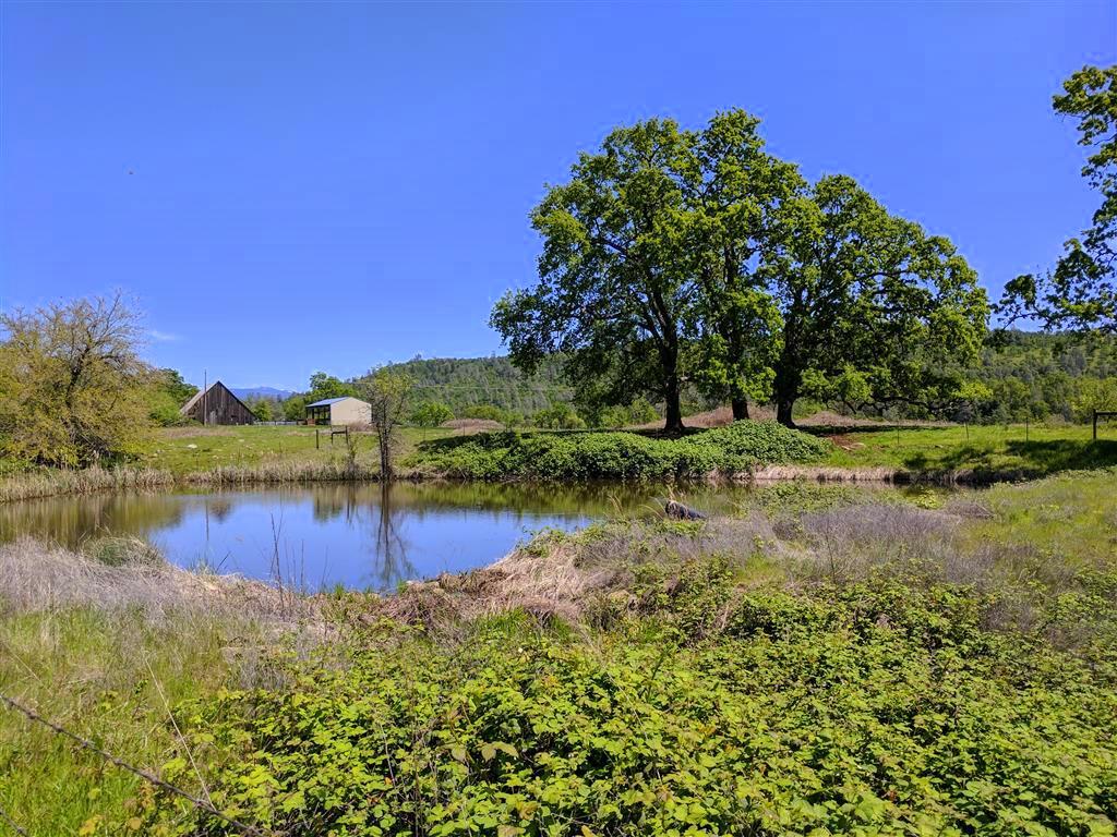 28187 Williams Ranch Road Millville, CA 96062 - Photo 63 of 82 West Pond