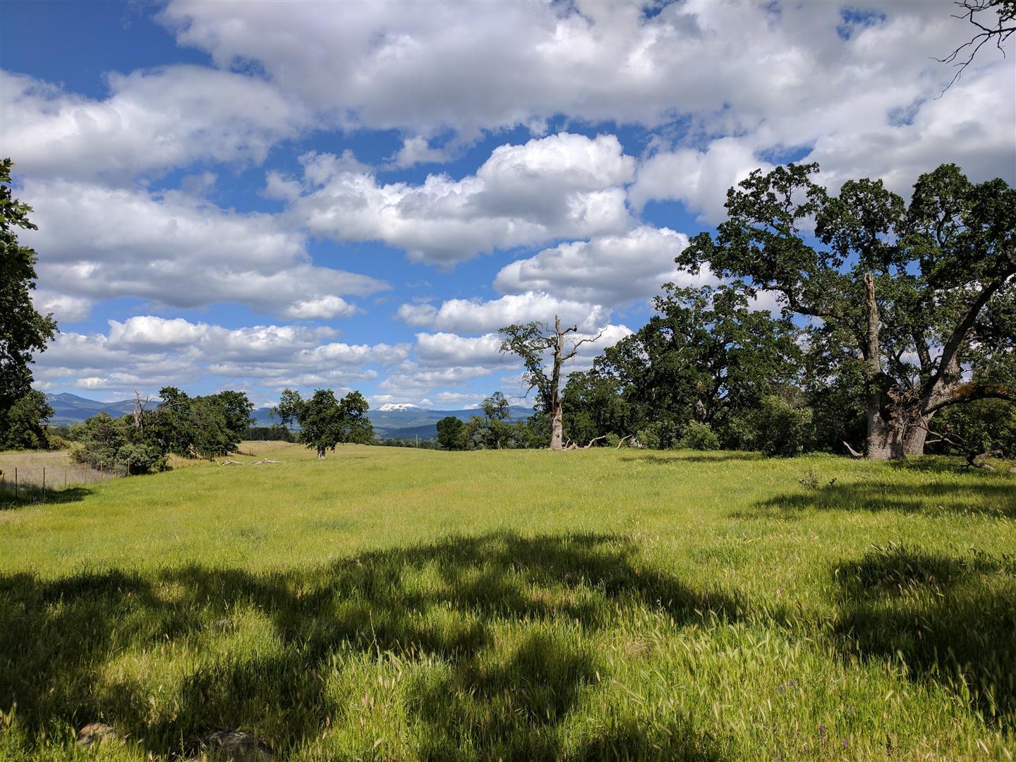 28187 Williams Ranch Road Millville, CA 96062 - Photo 64 of 82 Acreage (1)