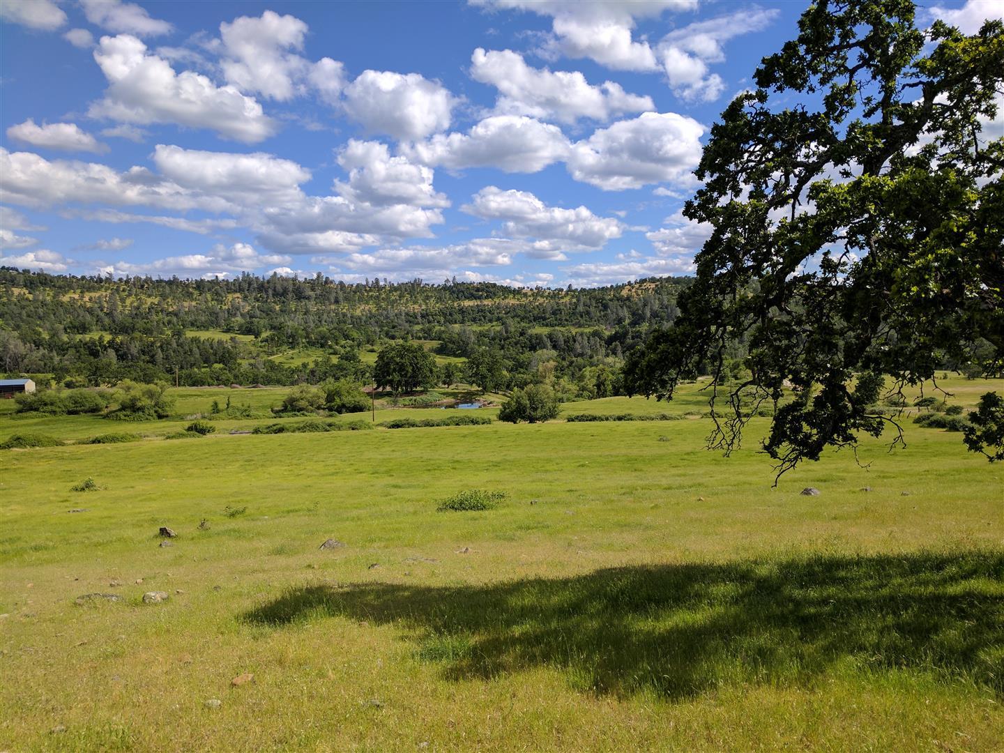 28187 Williams Ranch Road Millville, CA 96062 - Photo 65 of 82 Acreage (2)