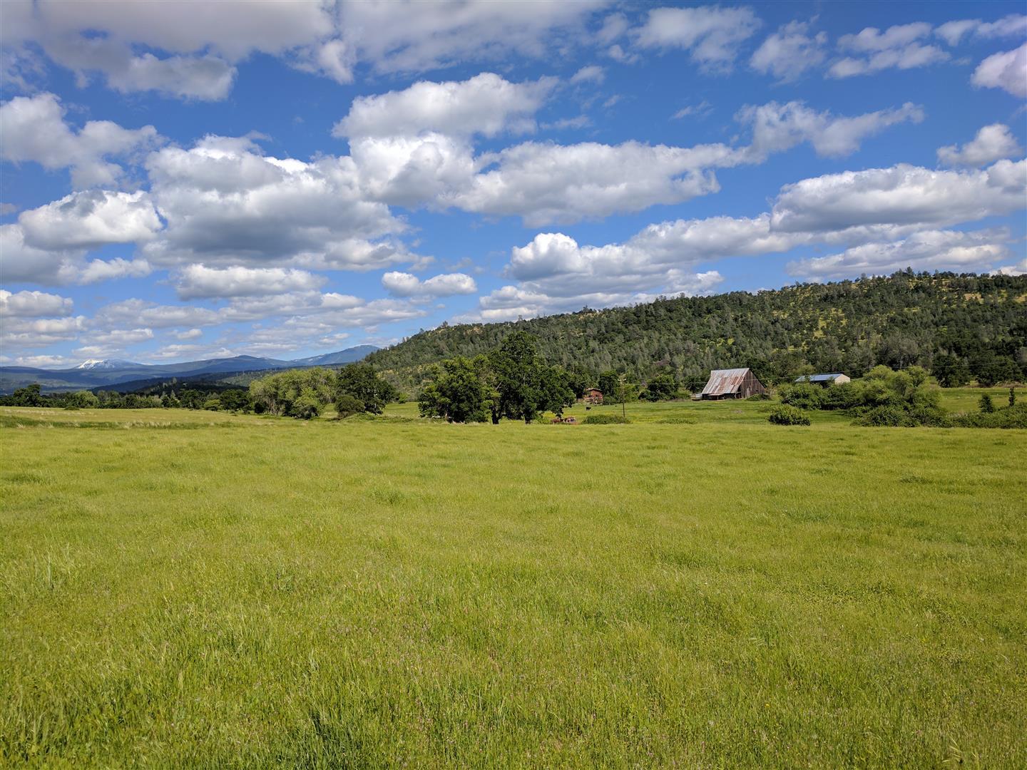 28187 Williams Ranch Road Millville, CA 96062 - Photo 66 of 82 Acreage (3)