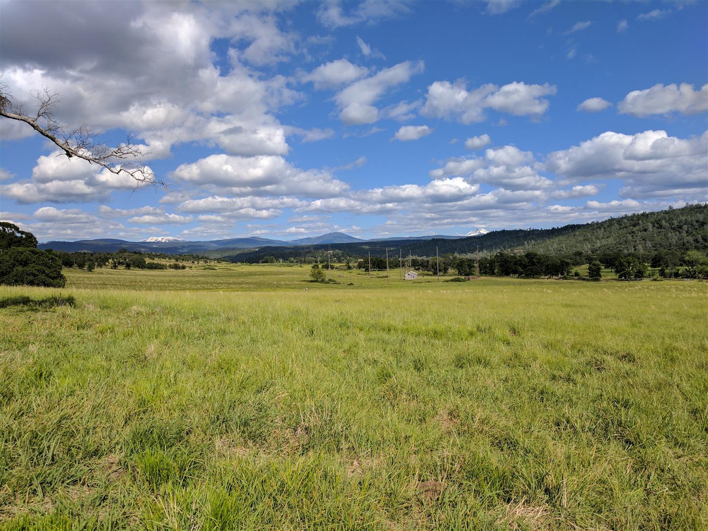 28187 Williams Ranch Road Millville, CA 96062 - Photo 67 of 82 Acreage (4)