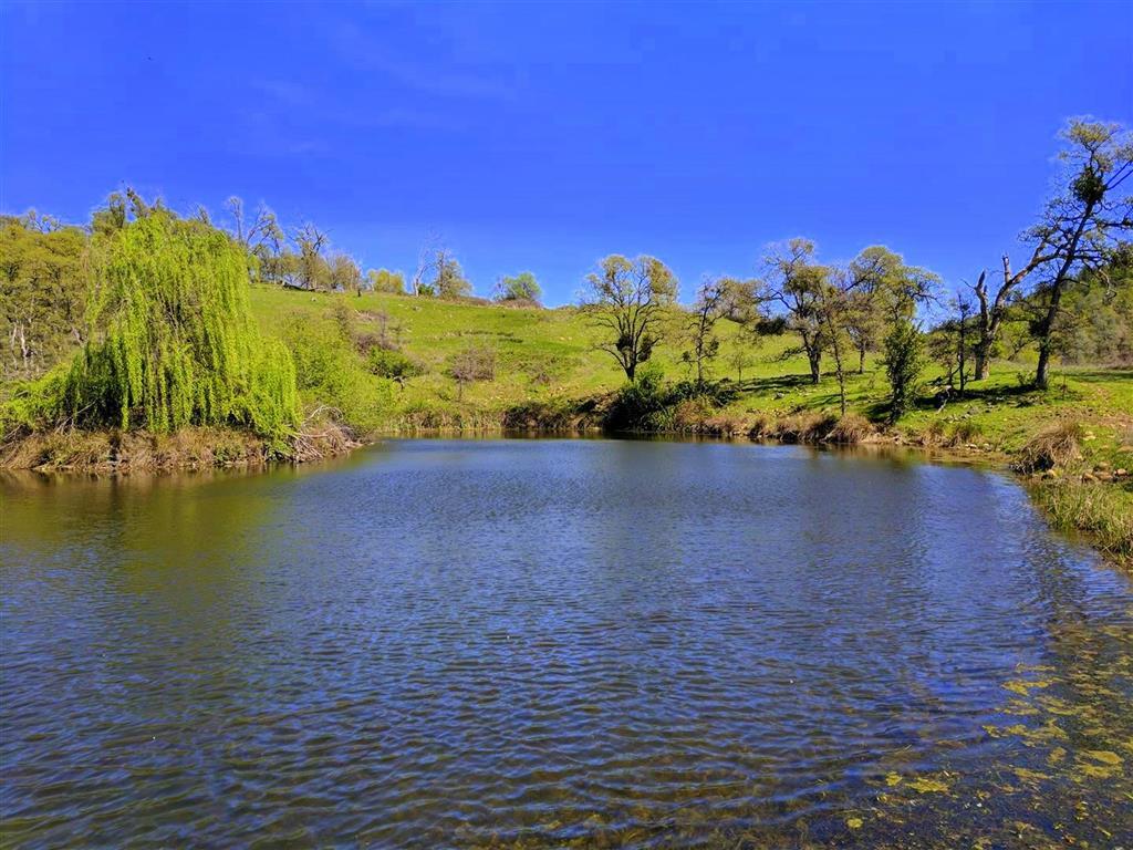 East Pond