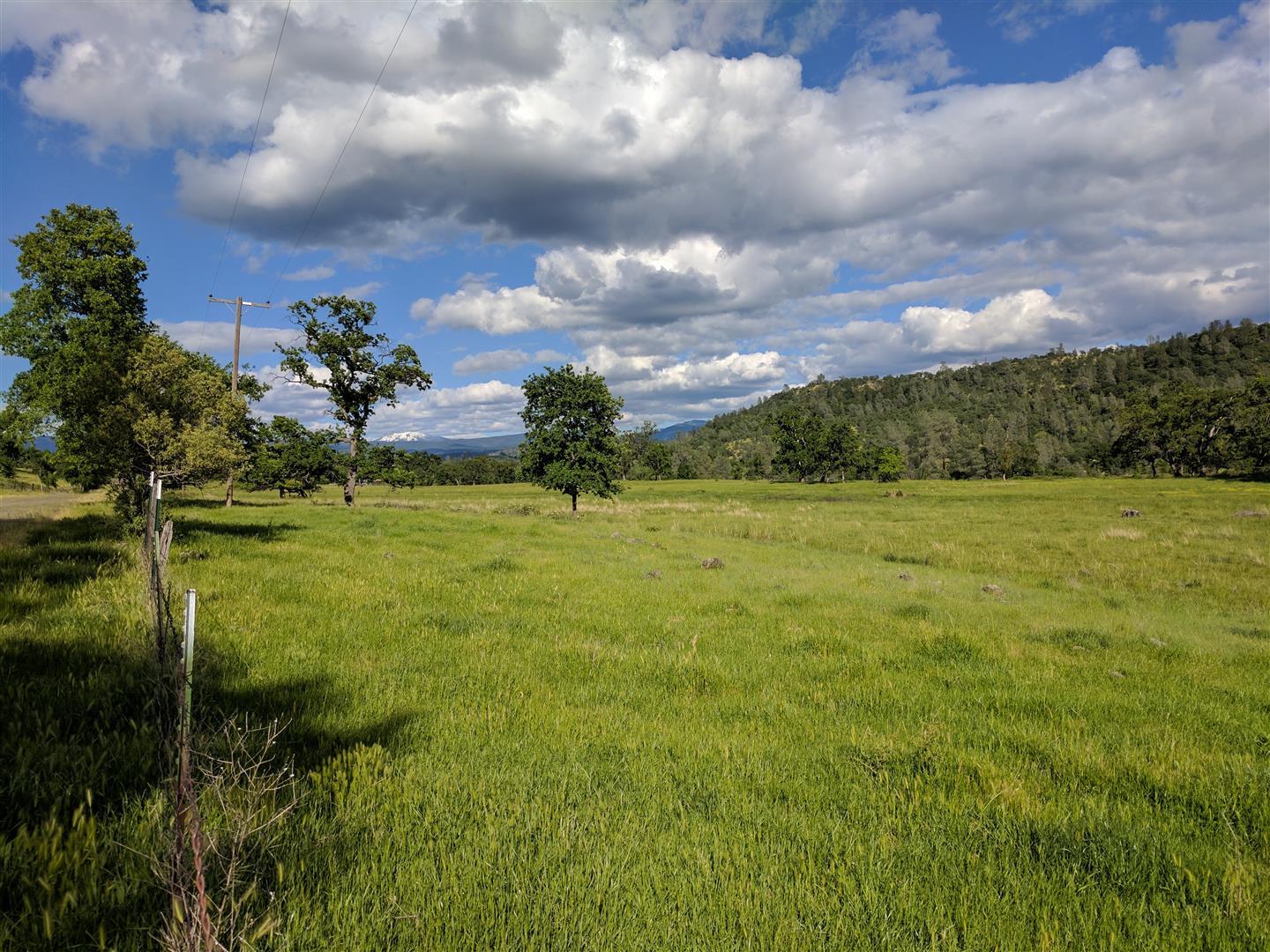 28187 Williams Ranch Road Millville, CA 96062 - Photo 71 of 82 Acreage (9)