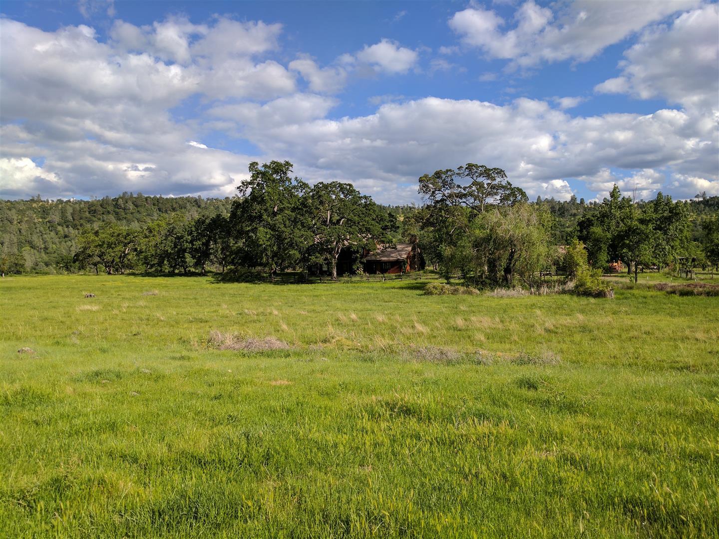 28187 Williams Ranch Road Millville, CA 96062 - Photo 72 of 82 Main Hm & Acreage