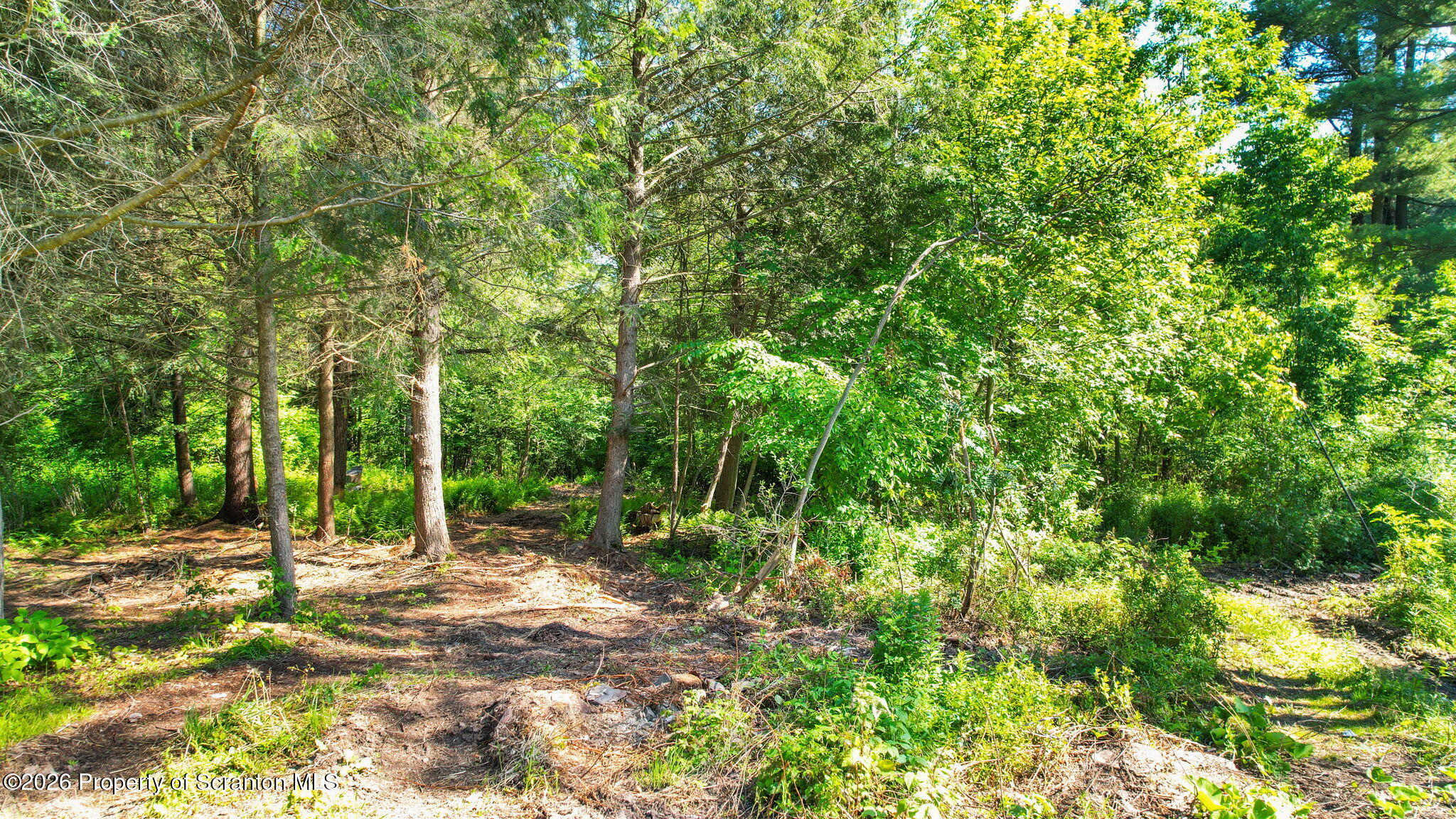 9015 Laurel Lake Road Montrose, PA 18801 - Photo 4 of 25 a view of outdoor space and trees
