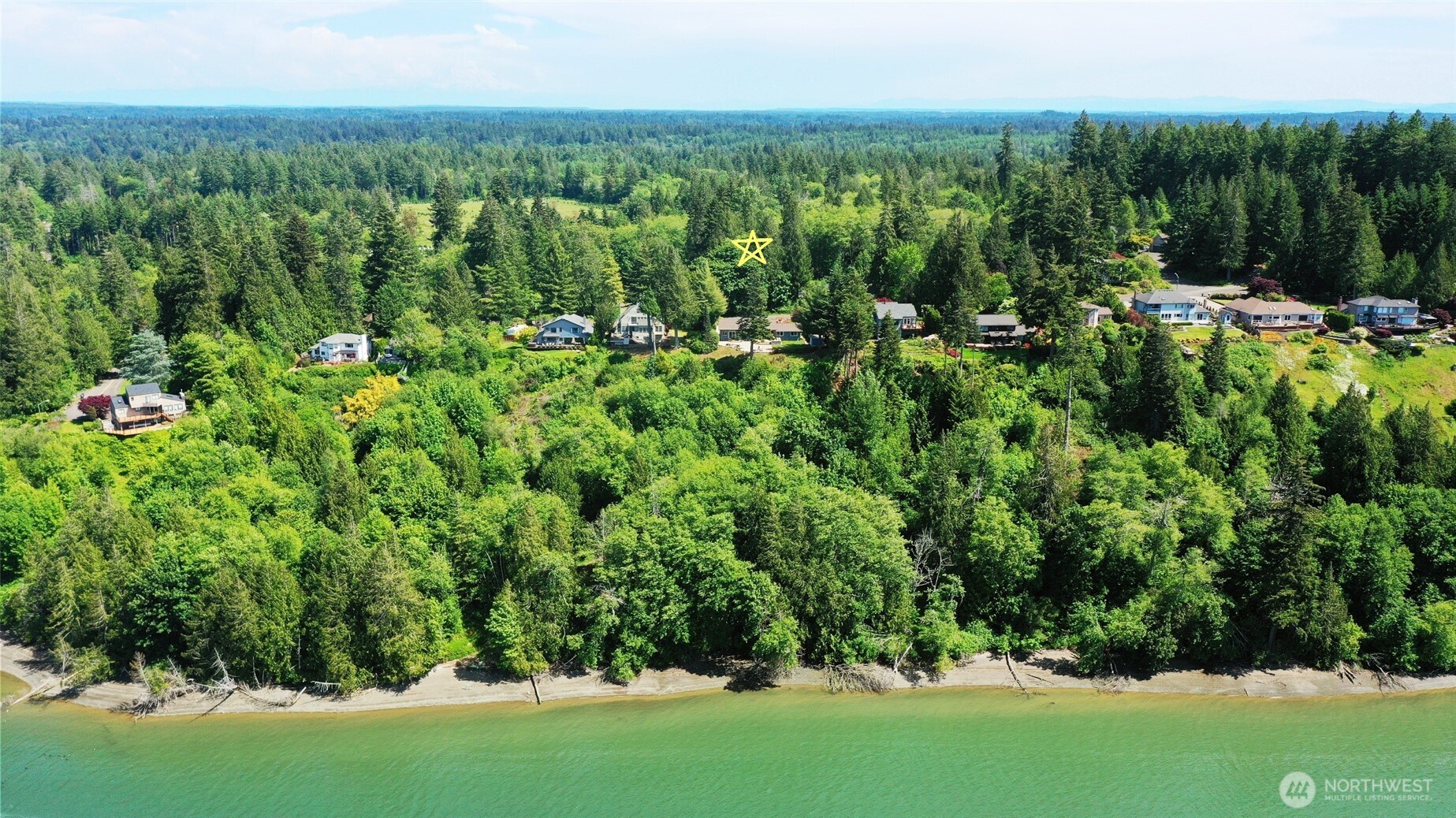 7713 78th Loop Northwest Olympia, WA 98502 - Photo 39 of 40 a view of a lush green forest with lots of trees