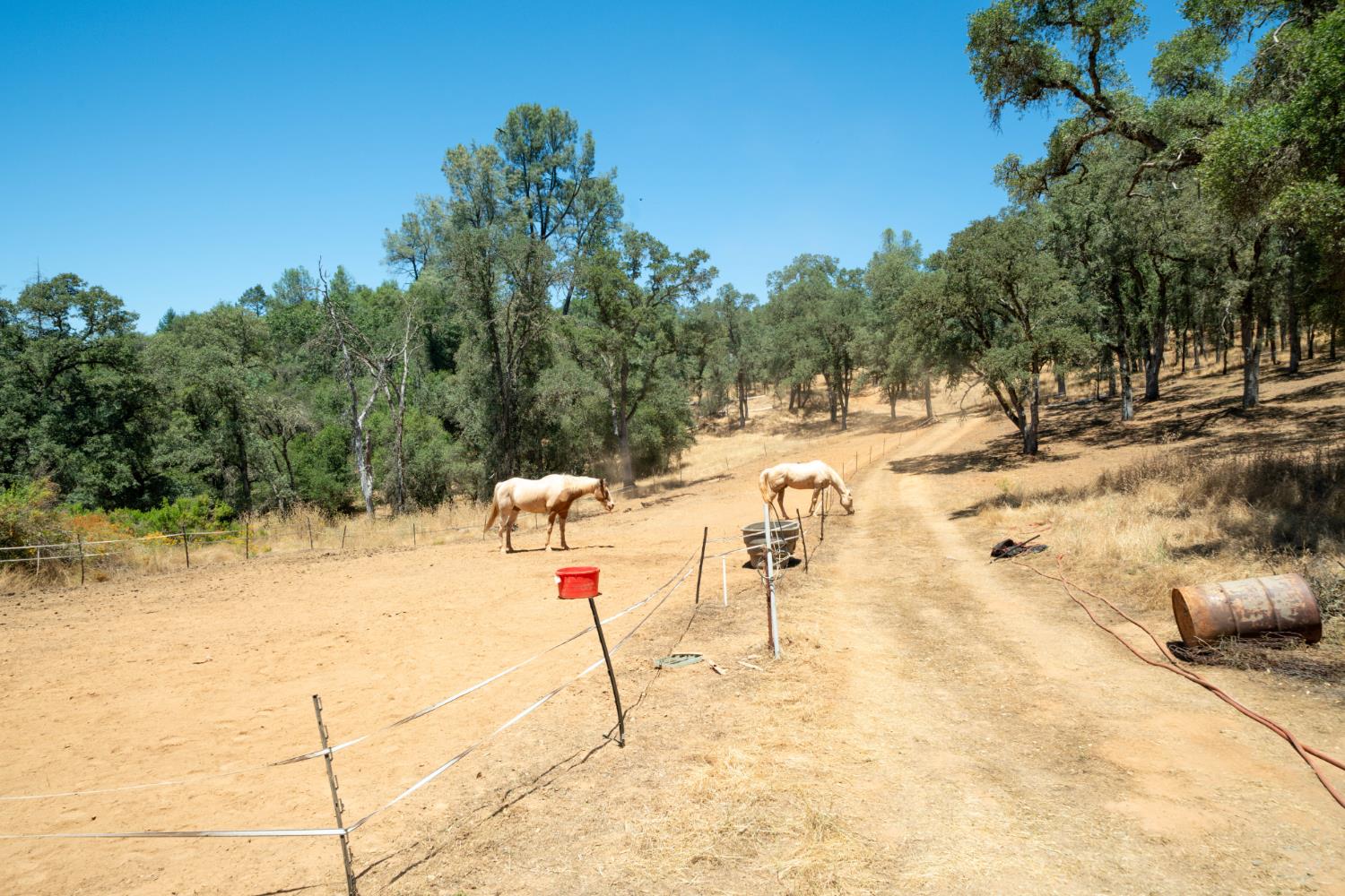7071 Bayne Road Placerville, CA 95667 - Photo 51 of 61