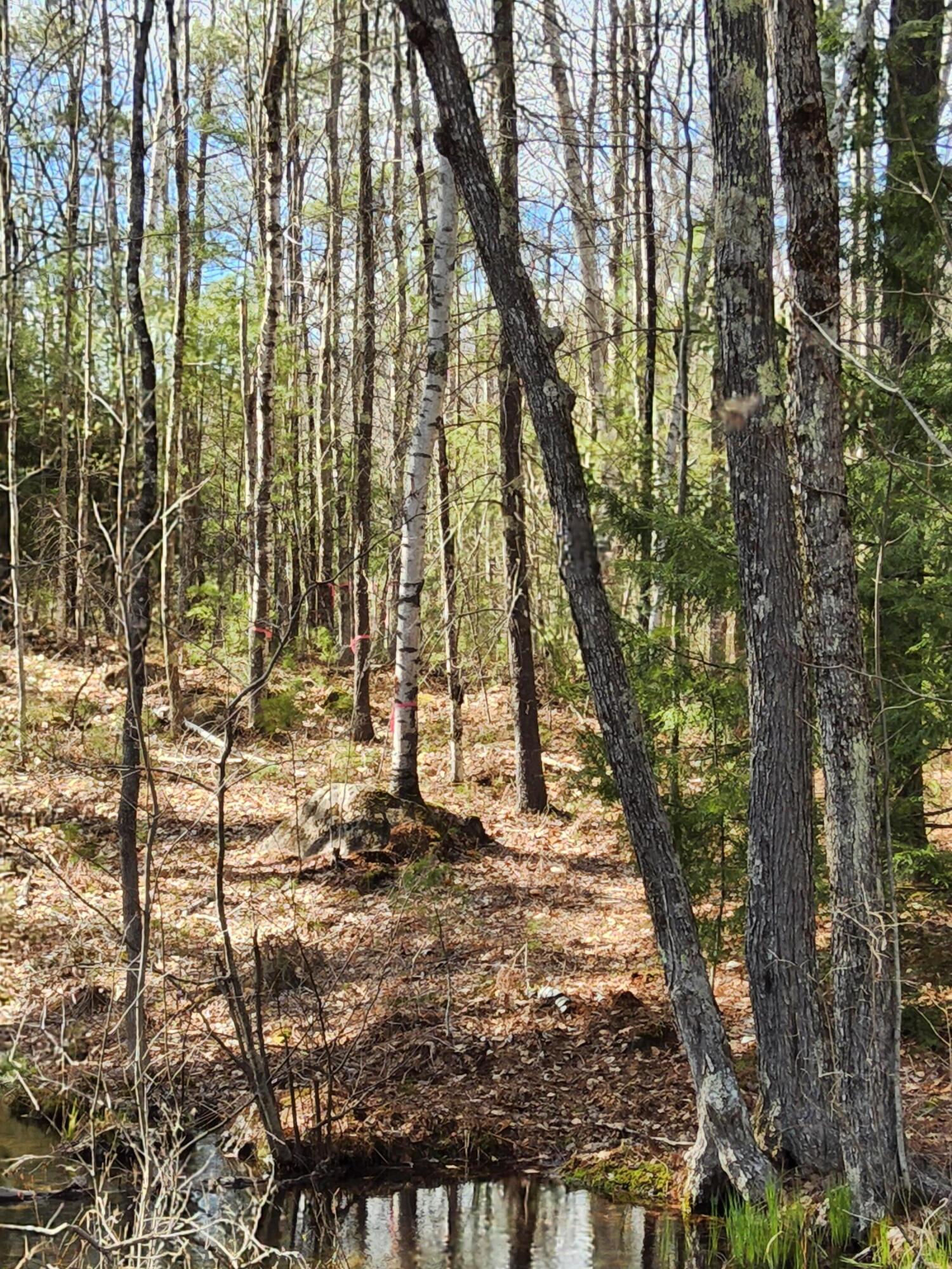 Tbd Poor Farm Road Lyman, ME 04002 - Photo 9 of 10 Pic 13