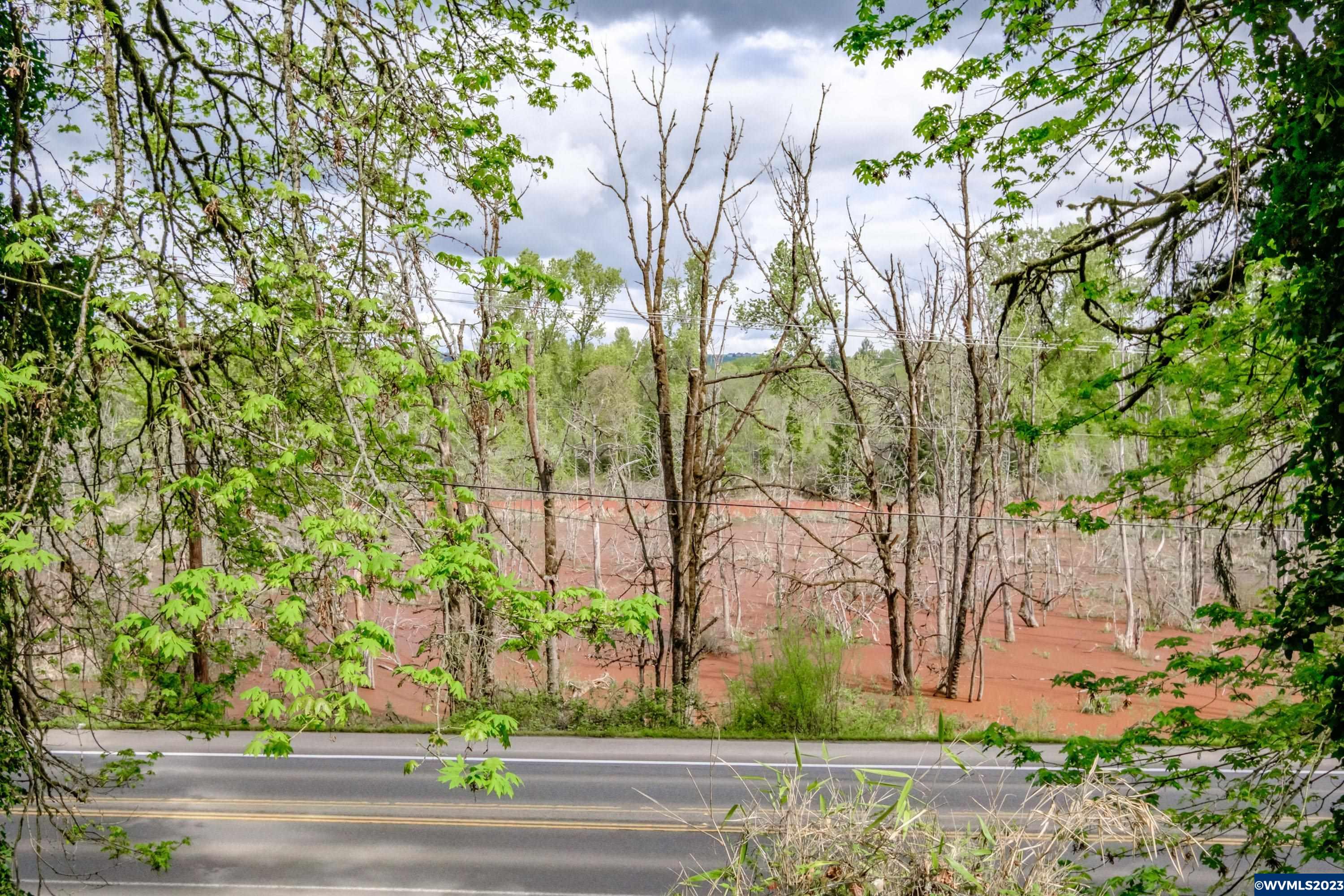 3308 River Road South Salem, OR 97302 - Photo 7 of 29