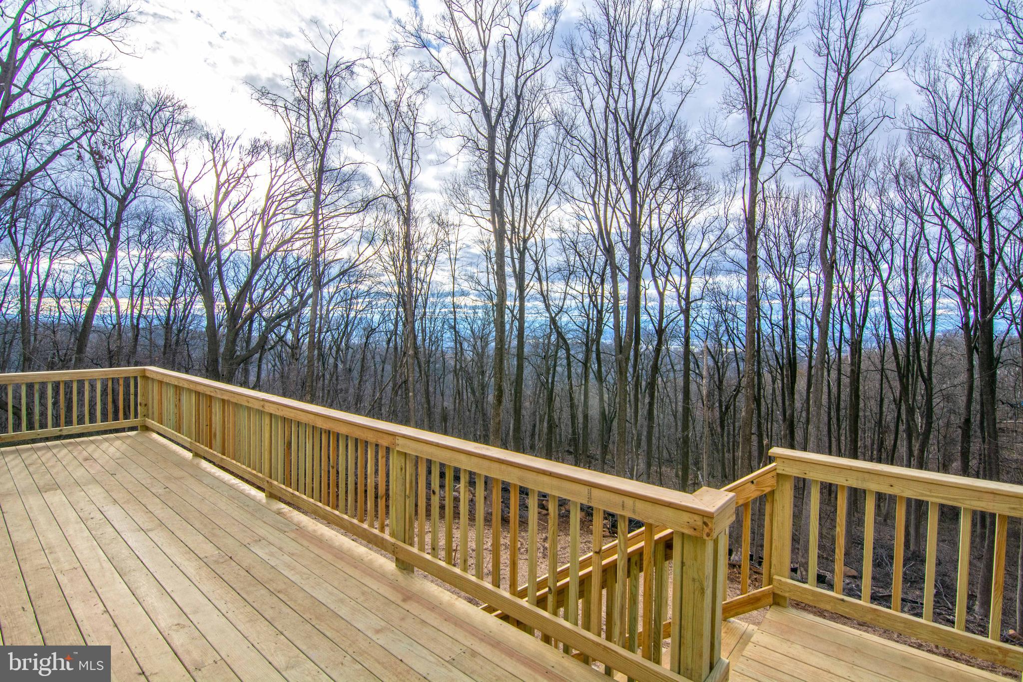 85 Cappy Road Linden, VA 22642 - Photo 8 of 75