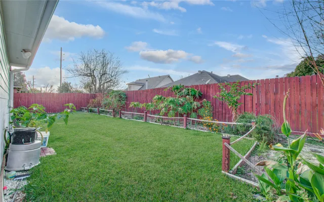 a view of a backyard with plants and a large tree