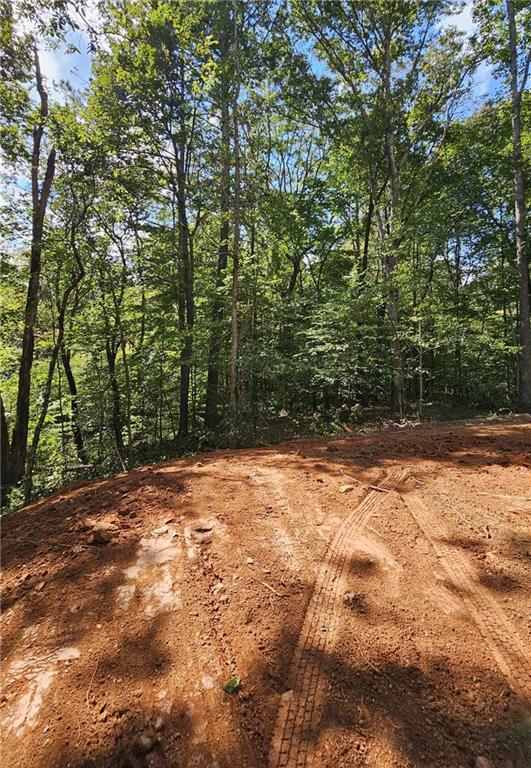 7619 Yukon Road Talking Rock, GA 30175 - Photo 29 of 32 Gallery Image 29