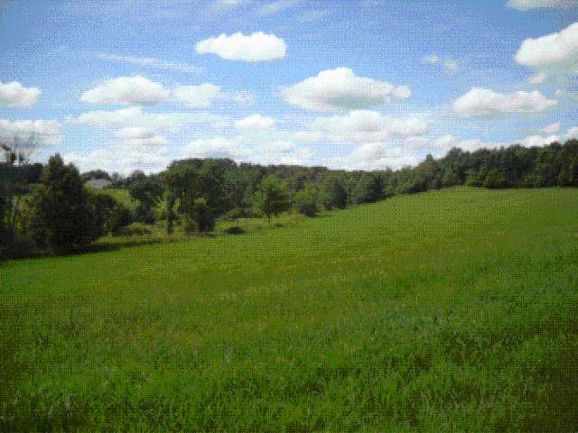 On Oak Ridge Lane Catawba, WI 54515 - Photo 1 of 5 Gallery Image 1