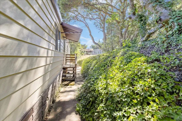 a view of a yard of the house