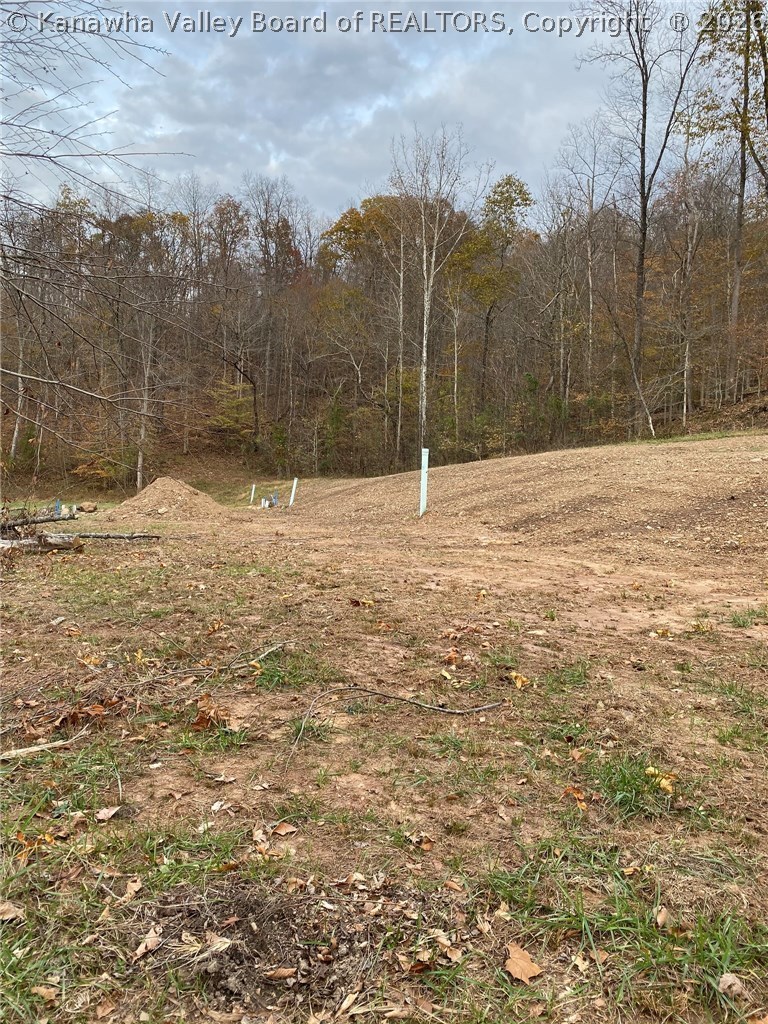 0 Poca River Road Poca, WV 25159 - Photo 10 of 30 Gallery Image 10
