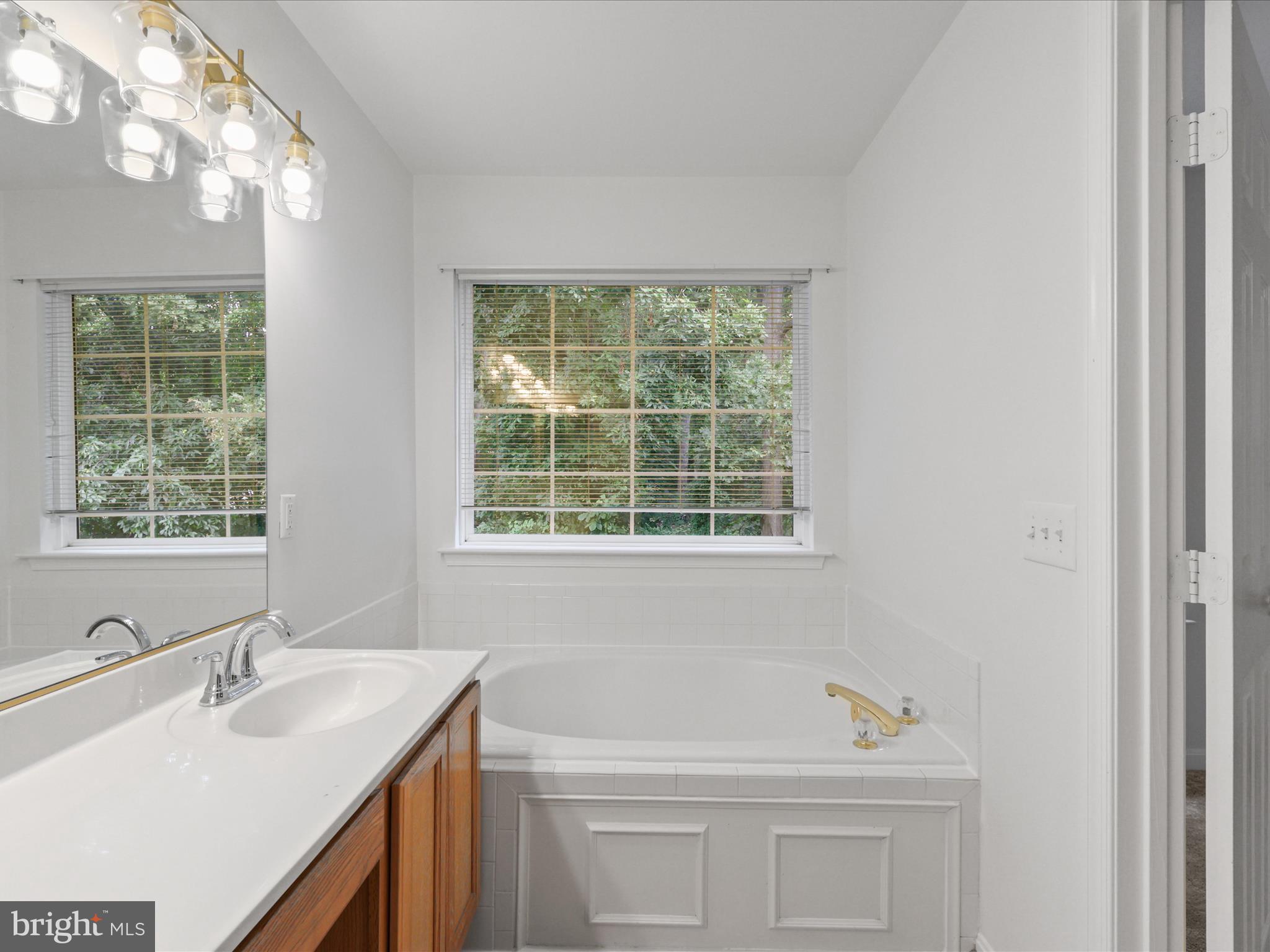 7700 Shadowcreek Terrace Springfield, VA 22153 - Photo 28 of 44 a bathroom with a sink a vanity and a bathtub