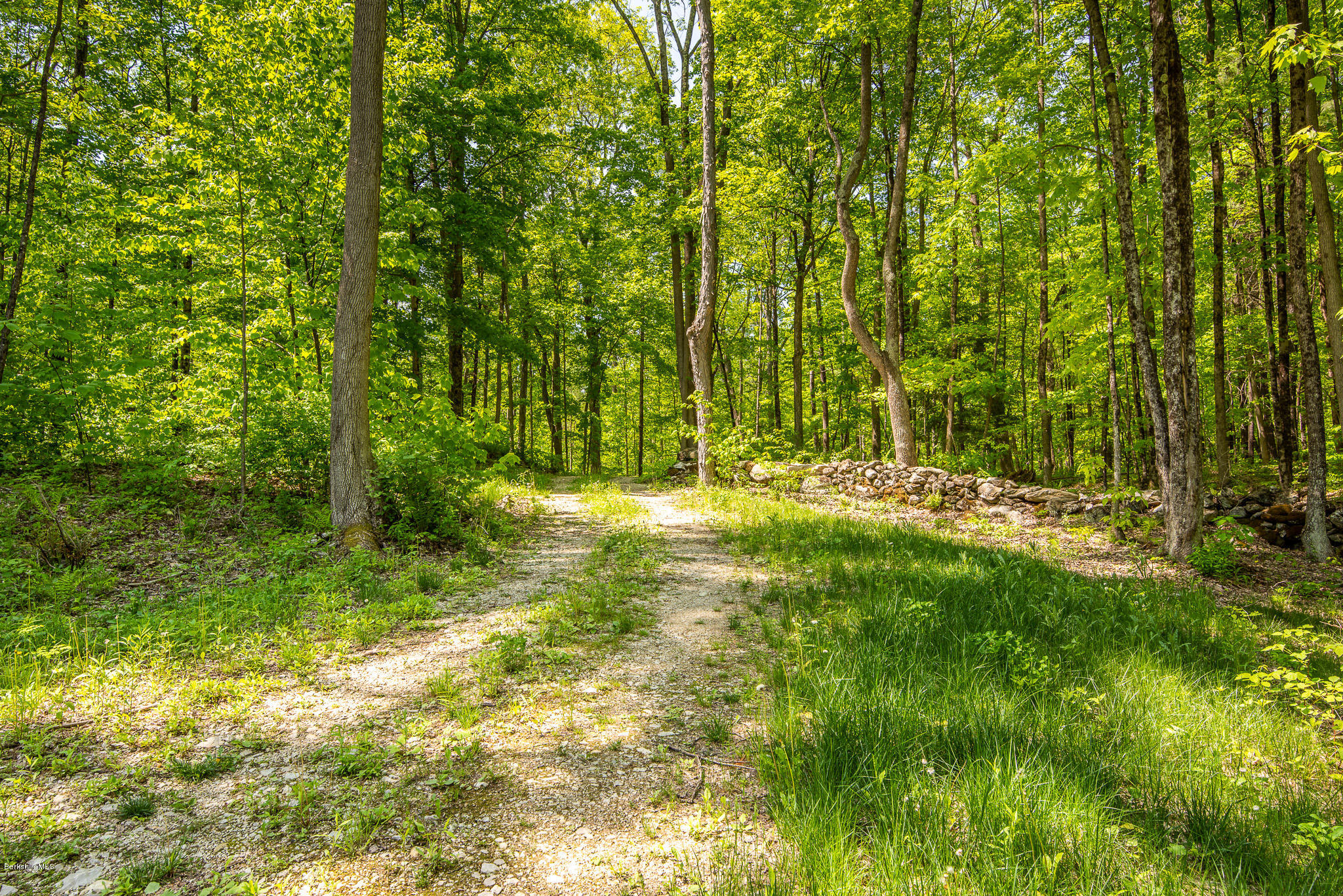 DRIVEWAY TO PARCEL