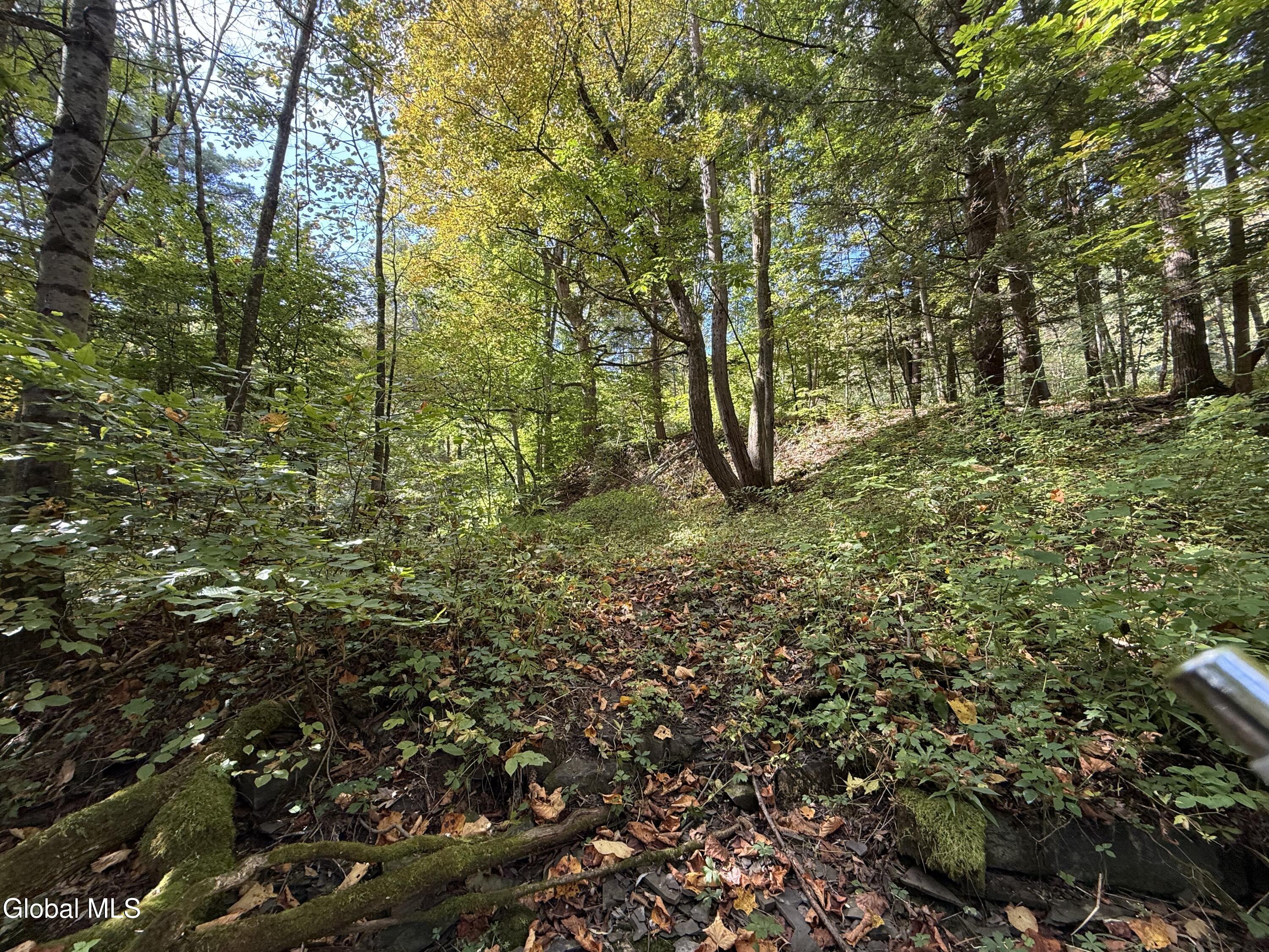 Undisclosed Address Mohawk, NY 12068 - Photo 16 of 20 IMG_4498