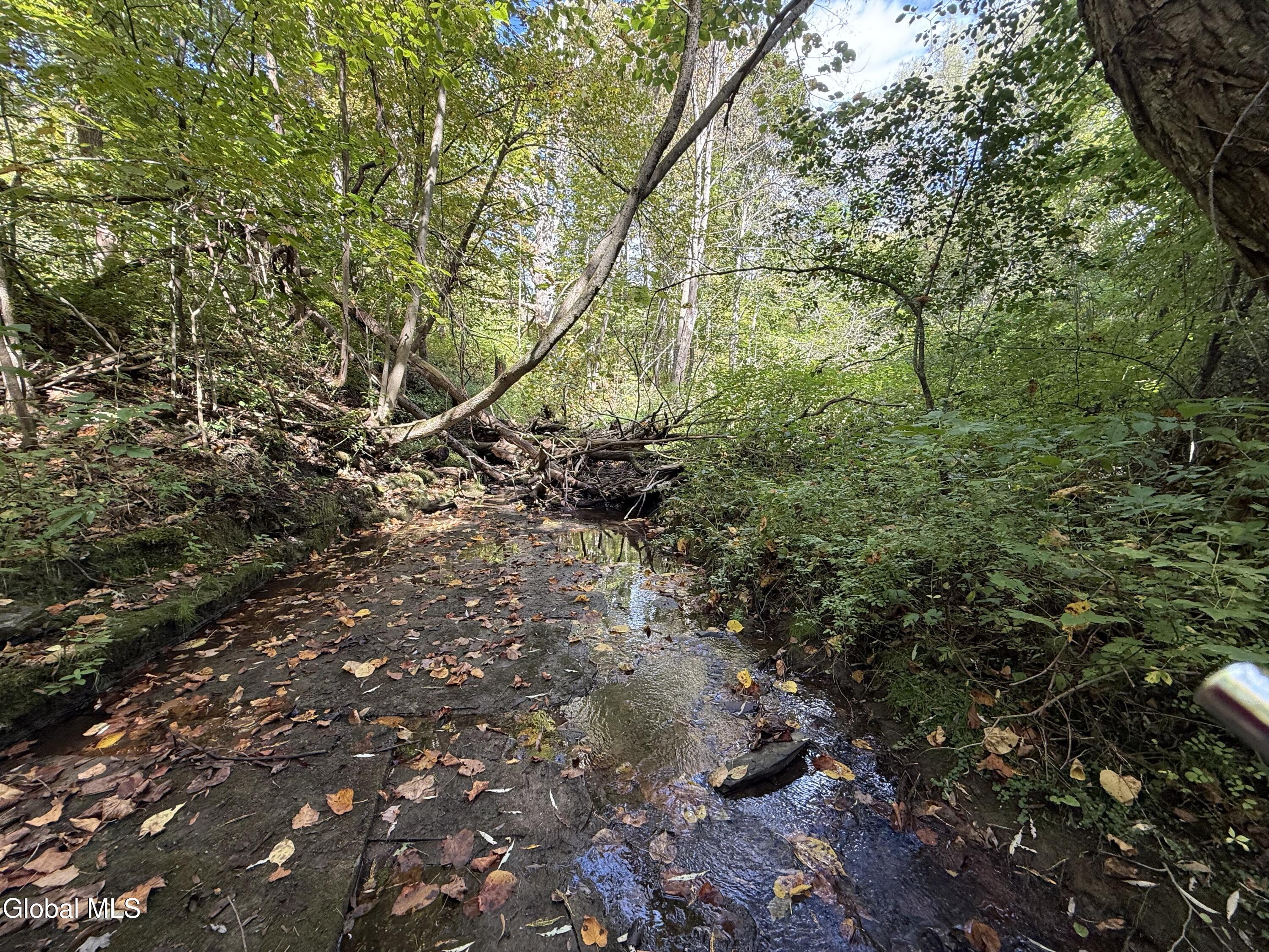 Undisclosed Address Mohawk, NY 12068 - Photo 2 of 20 IMG_4499