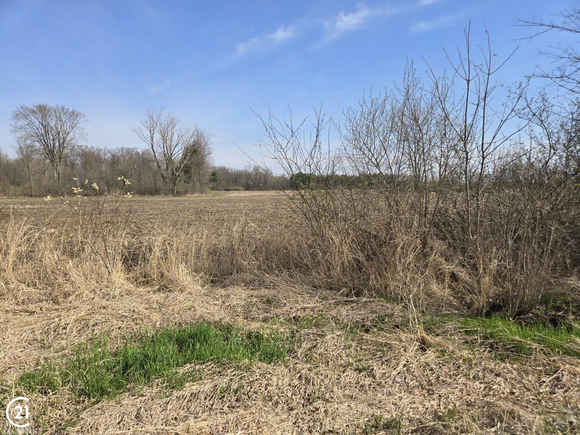 0 Meskill (lot D) Road Columbus, MI 48063 - Photo 8 of 15