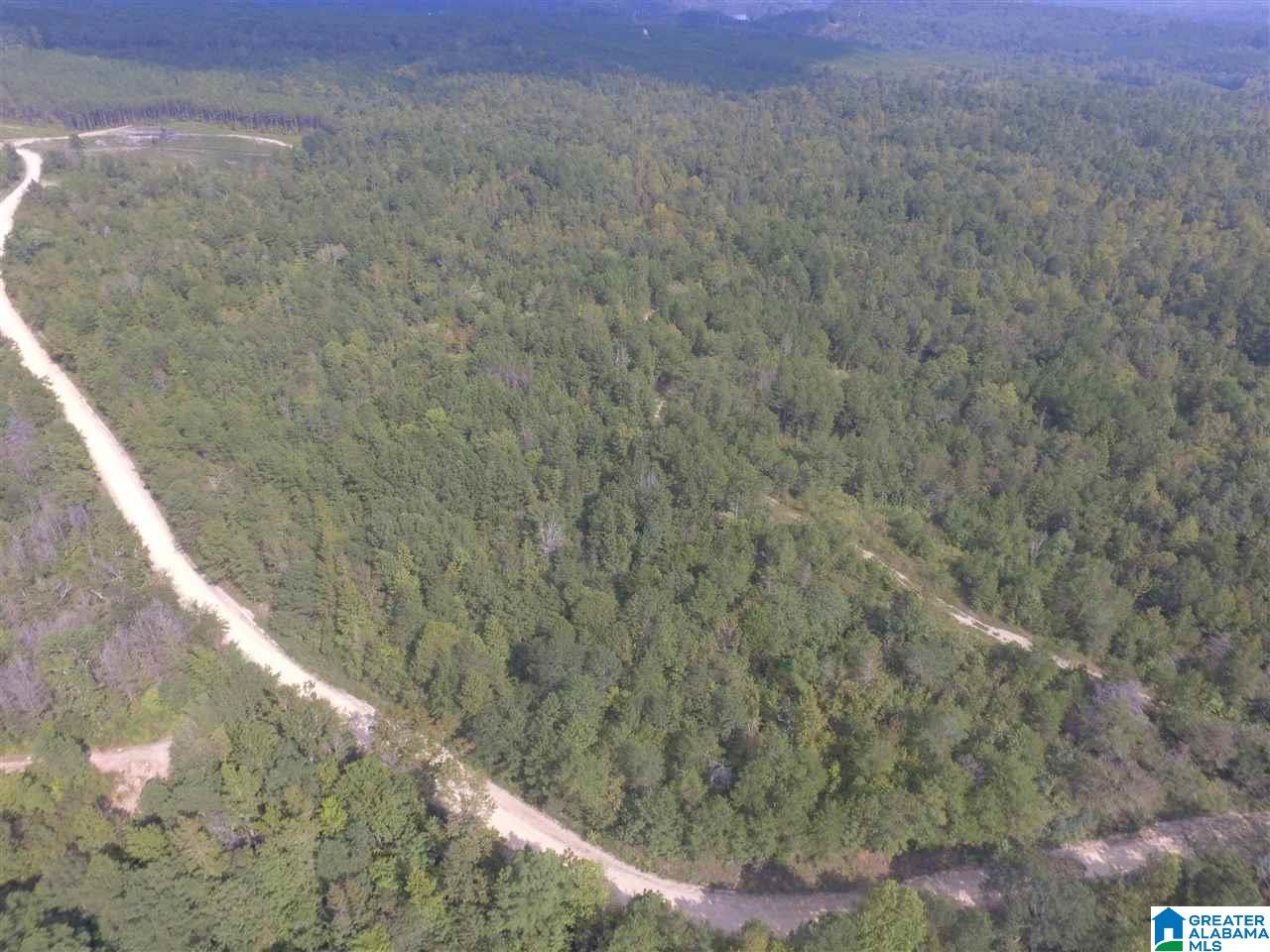0 County Road 256, Unit 1 Clanton, AL 35045 - Photo 2 of 2