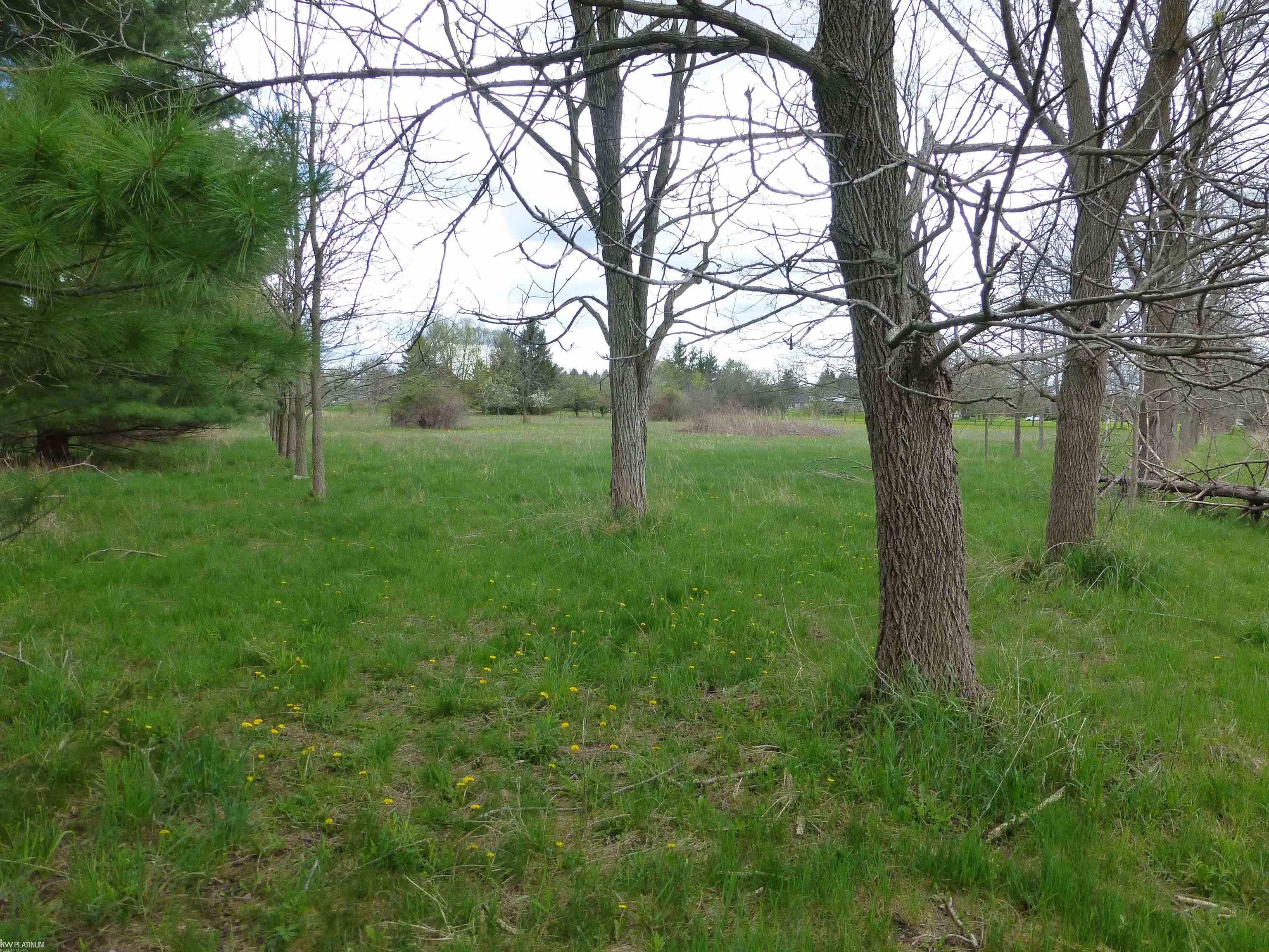 67320 Hartway Road Ray, MI 48096 - Photo 24 of 68