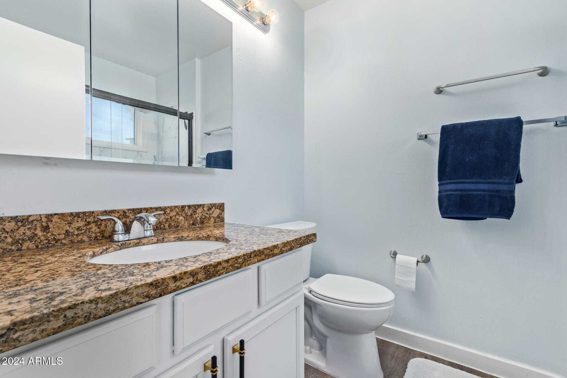 2028 East Devon Road Gilbert, AZ 85296 - Photo 22 of 59 Primary Bathroom